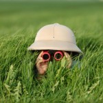 On-Page SEO Factors