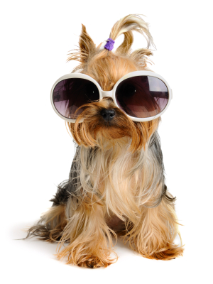3 Ways to Successfully Sell Using Social Media